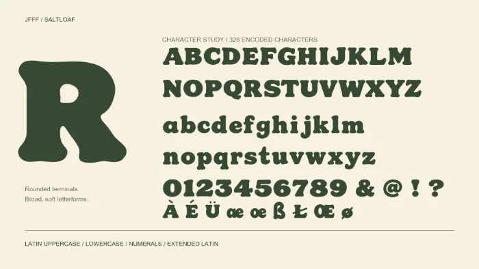 SALTLOAF letter R, uppercase and lowercase alphabet, numerals and selected extended Latin characters.