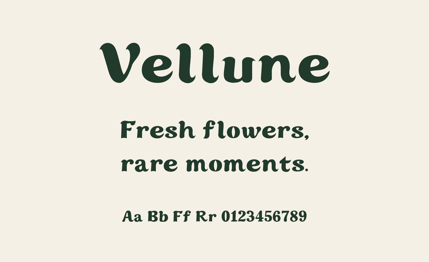 Vellune free font specimen