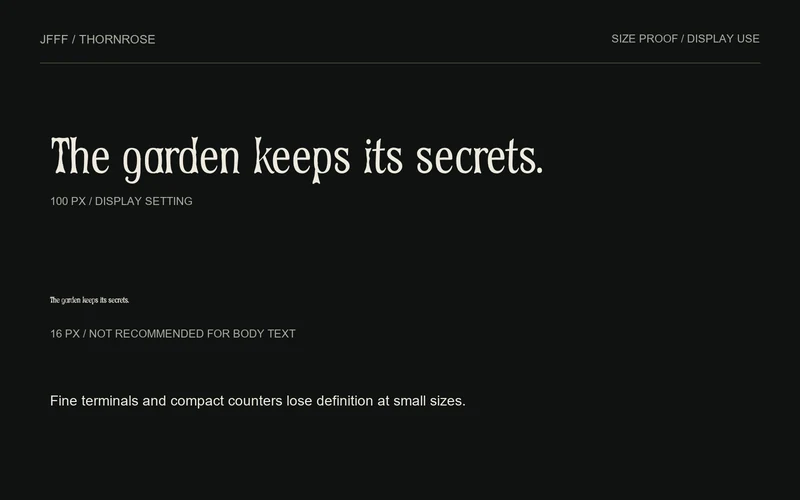 Size proof: the same sentence at 100 px and 16 px. Body-text use is not recommended.